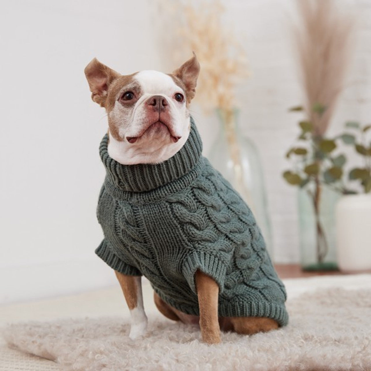 Pet Sweaters & Raincoats For Dogs