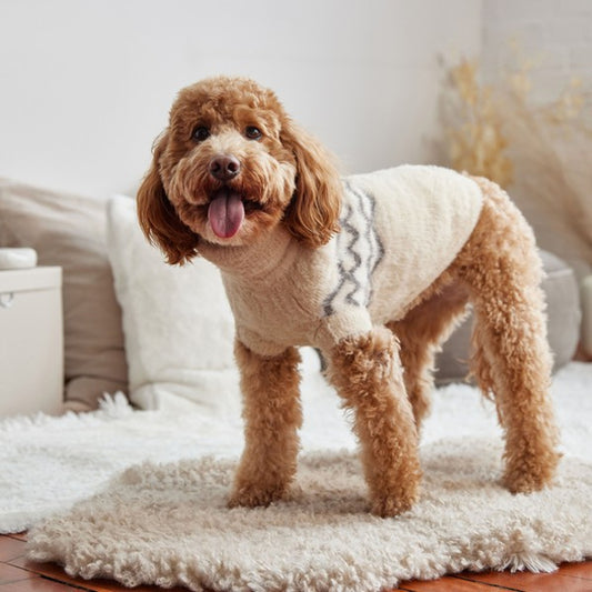 Pet Sweaters & Raincoats For Dogs