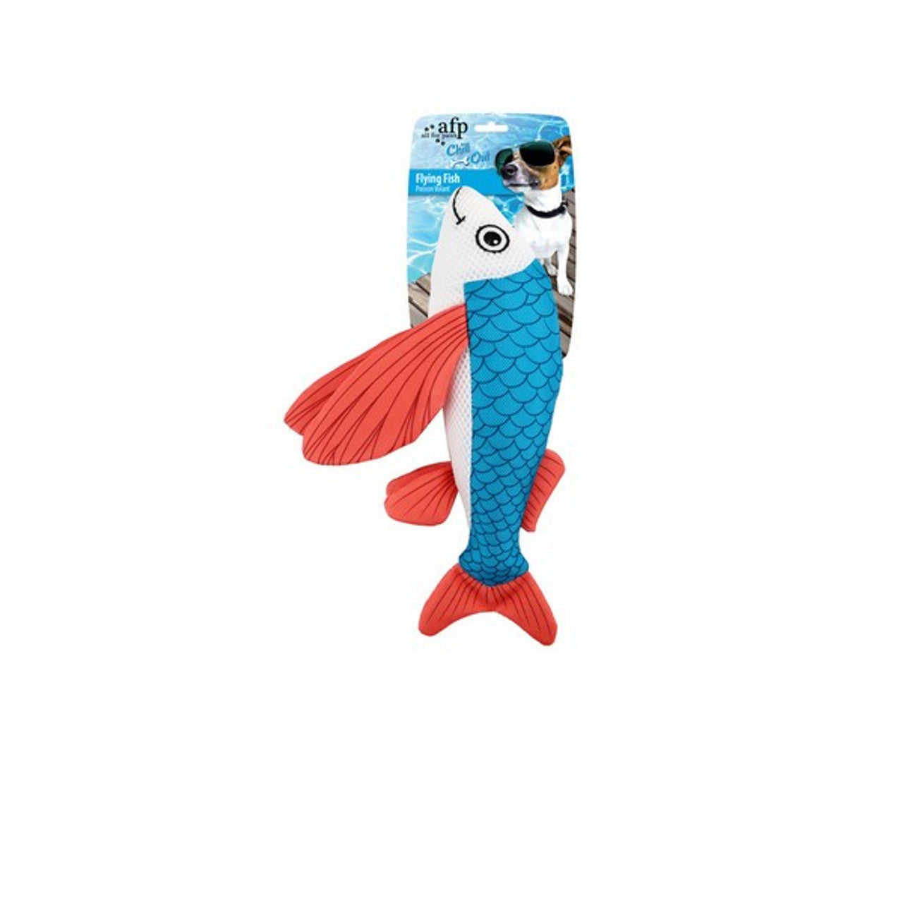 Cooling Toys & Accessories for Dogs – Keep Your Pup Refreshed! ❄️🐶
