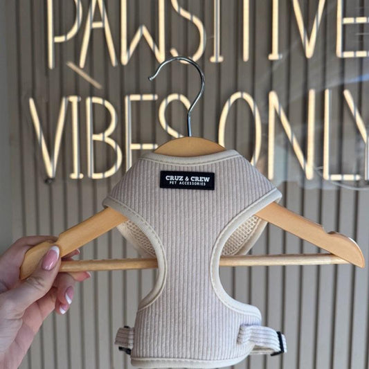 Cruz & Crew Pet Accessories Ribbed Harness Set - Adjustable Fit - 3 Colours