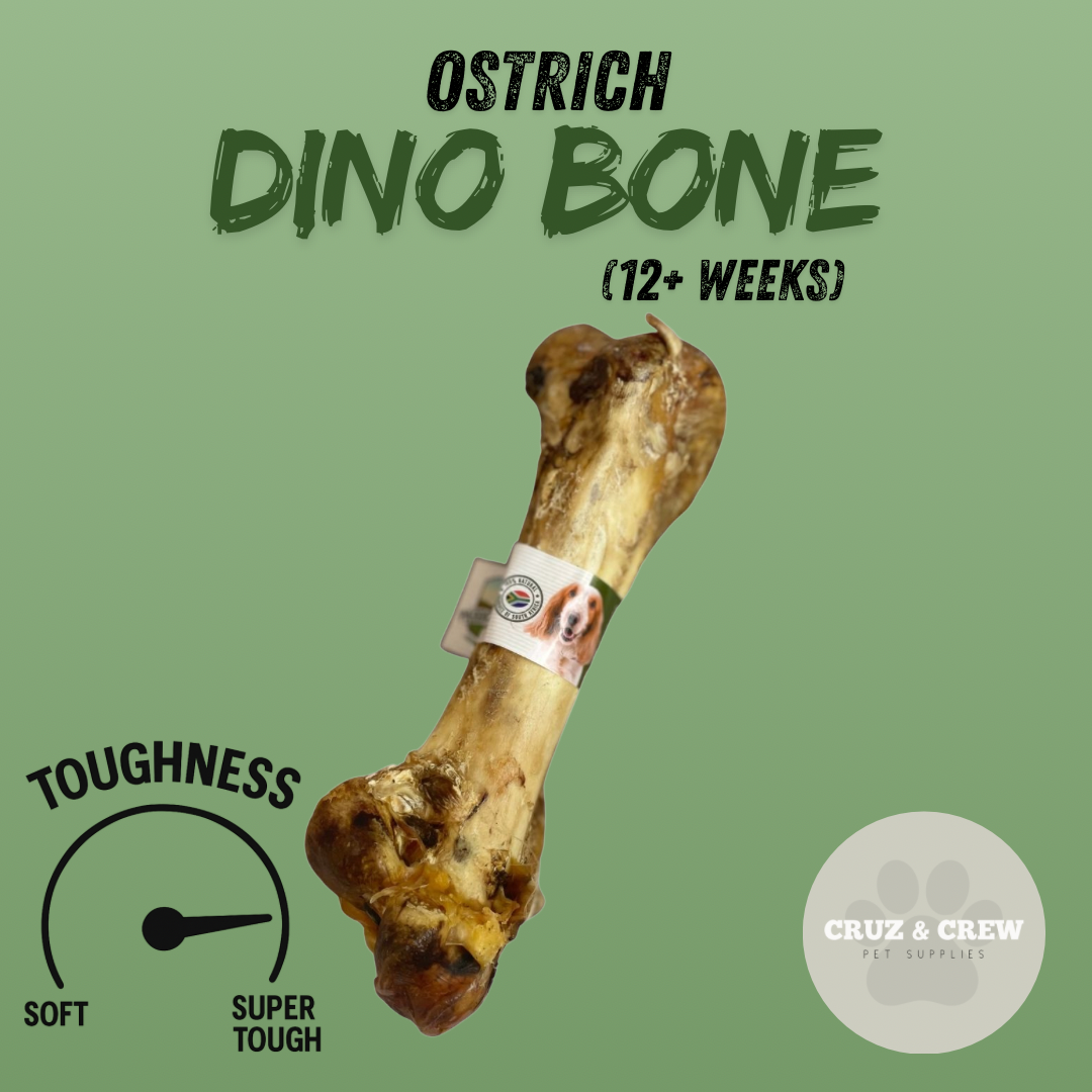 Pick 'n' Mix Natural Dog Treats – Your Pup’s Favourites in One Box!