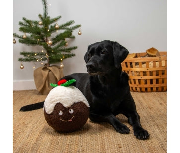 Ancol Christmas Dog Toys