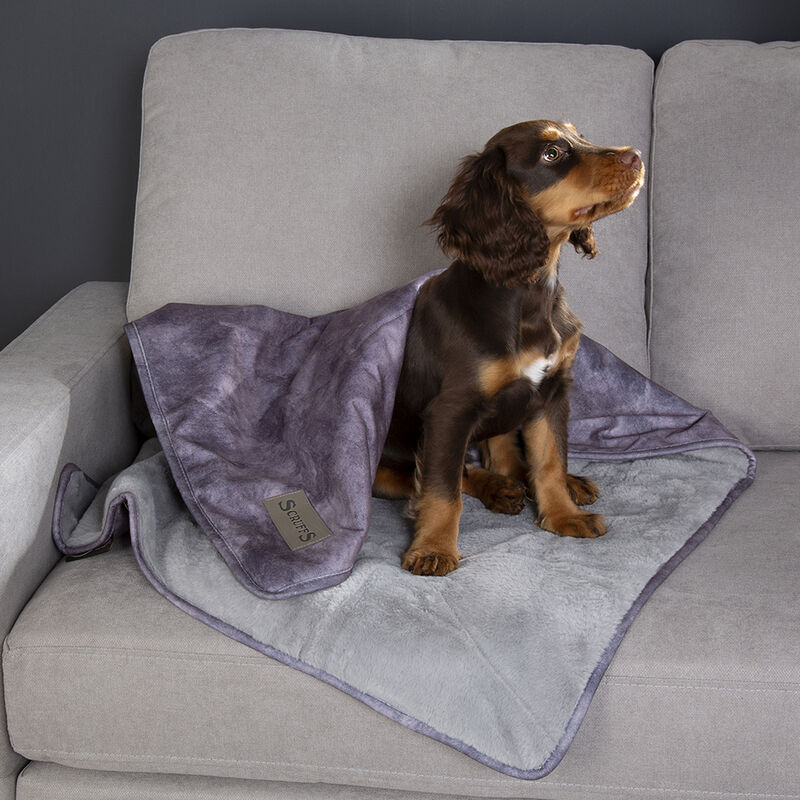 Scruffs Blanket Collection – Premium Cozy Blankets For Your Furry Friend
