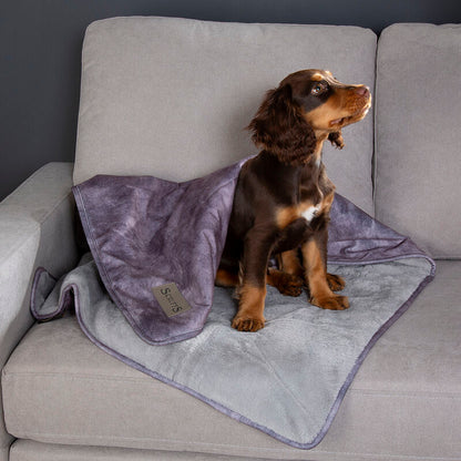 Scruffs Blanket Collection – Premium Cozy Blankets For Your Furry Friend