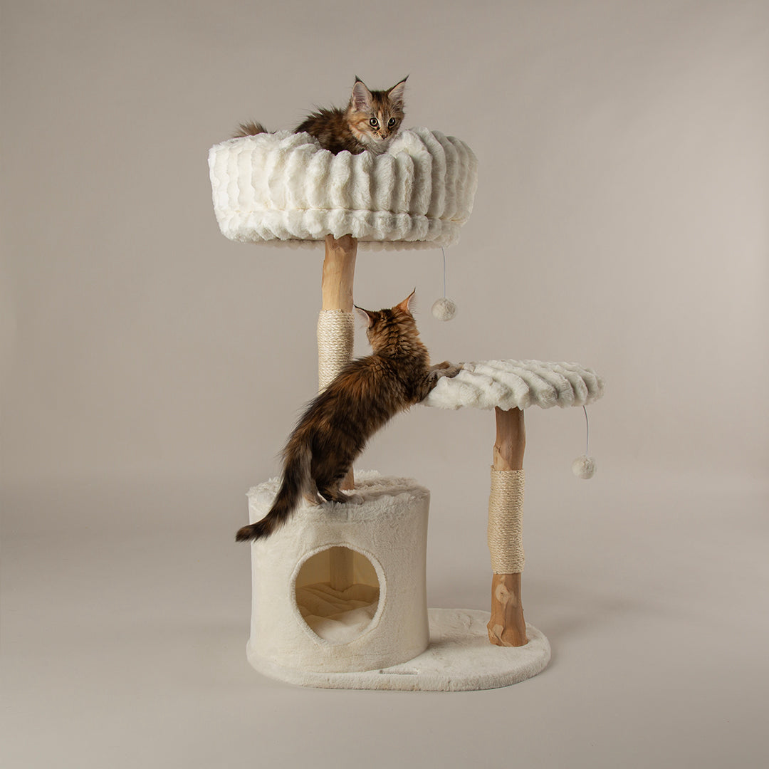 Scruffs® Luxurious Pearwood Cat Tree Collection