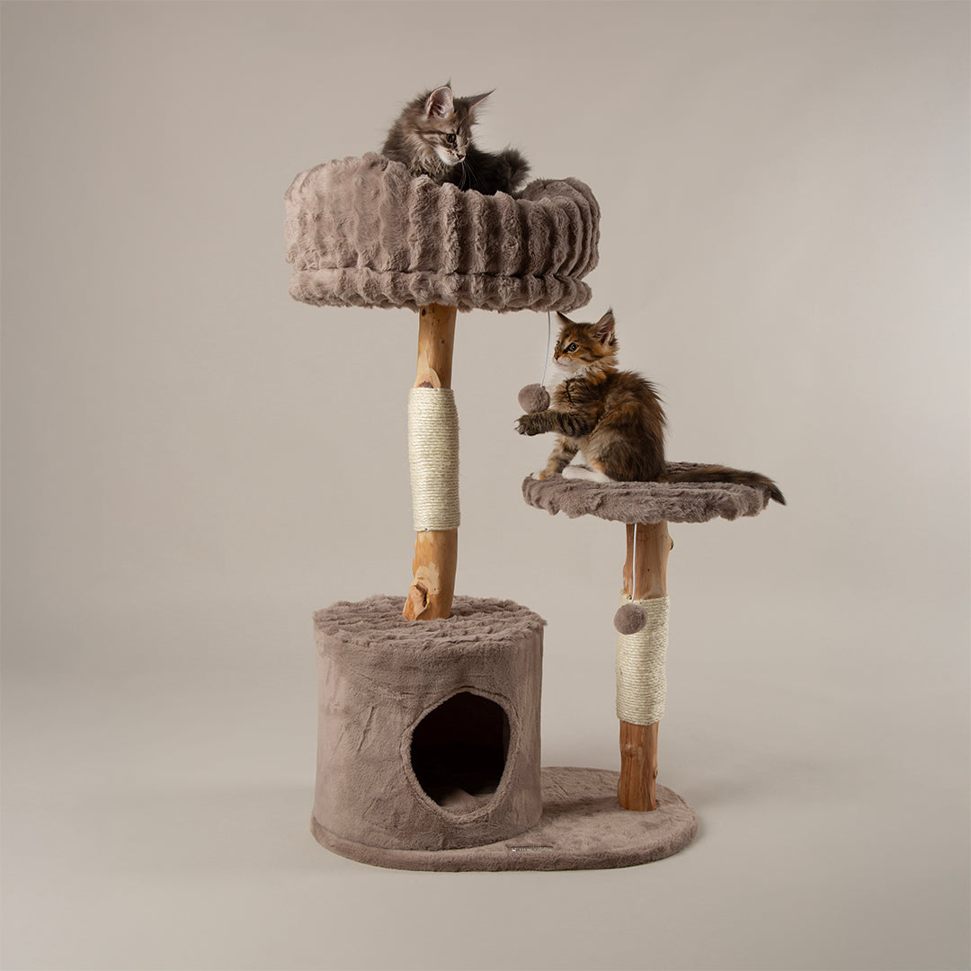 Scruffs® Luxurious Pearwood Cat Tree Collection