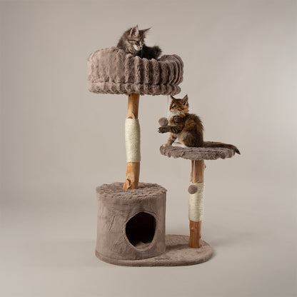 Scruffs® Luxurious Pearwood Cat Tree Collection