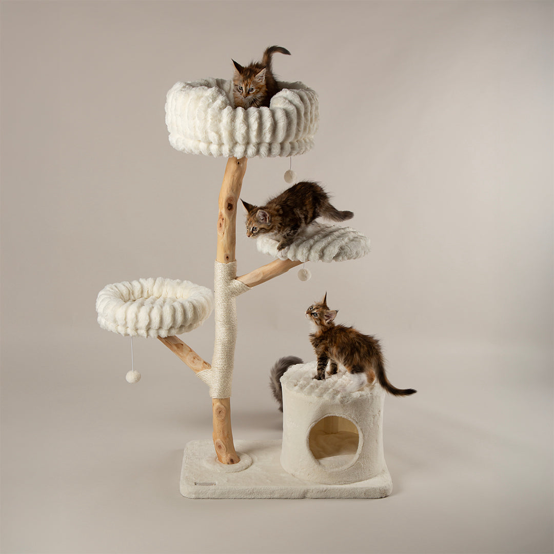 Scruffs® Luxurious Pearwood Cat Tree Collection