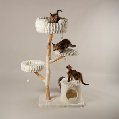 Scruffs® Luxurious Pearwood Cat Tree Collection