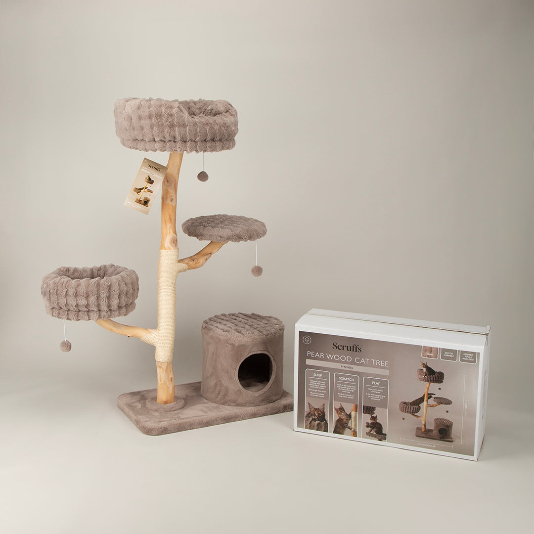 Scruffs® Luxurious Pearwood Cat Tree Collection