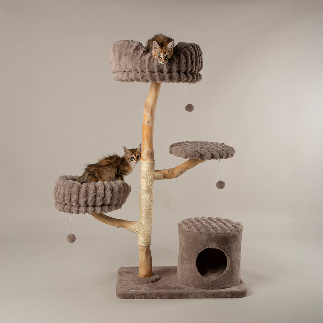 Scruffs® Luxurious Pearwood Cat Tree Collection