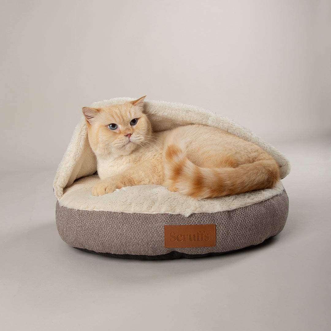 Scruffs® Premium Donut & Cat Bed Collection – Ultra-Soft, Supportive & Stylish