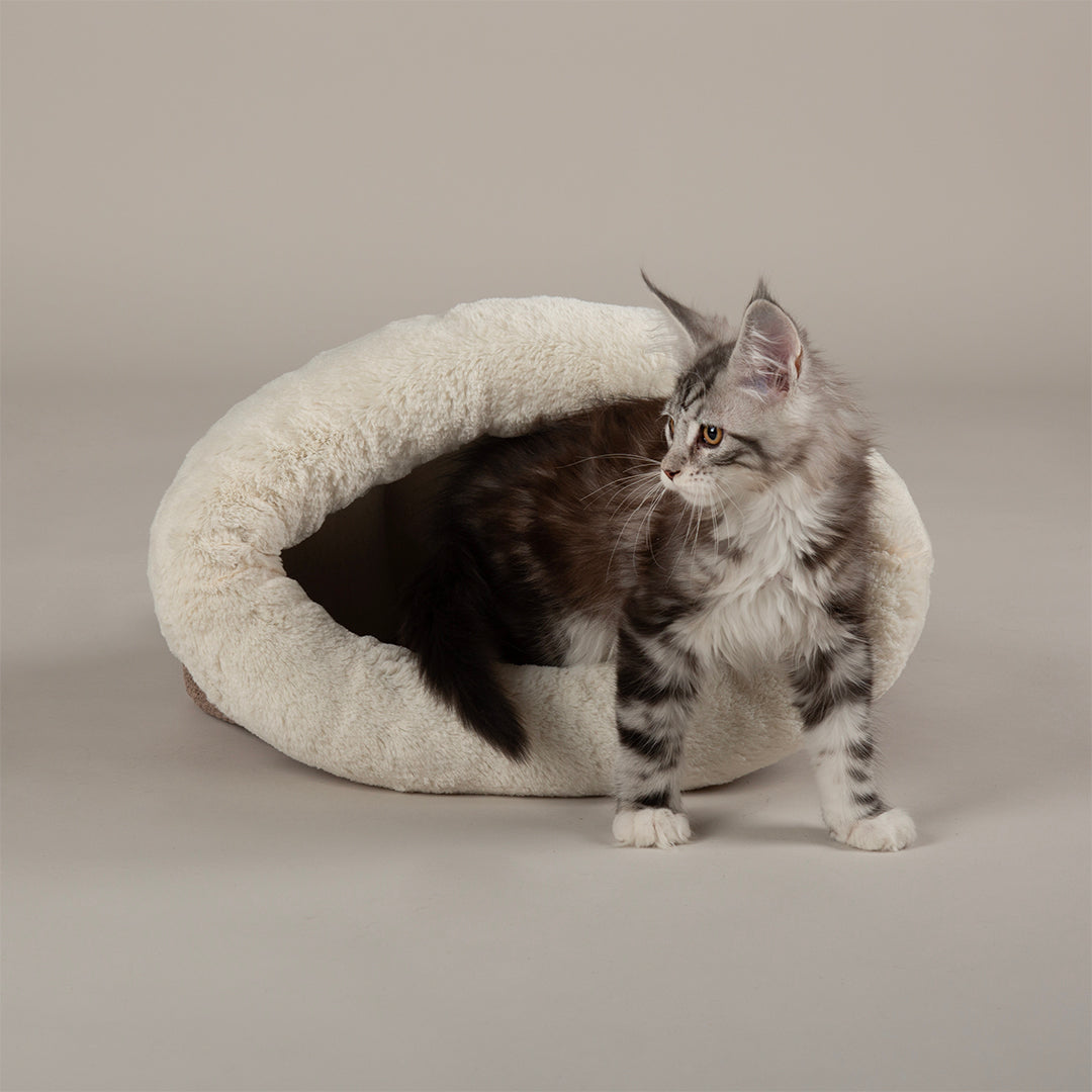 Scruffs® Premium Donut & Cat Bed Collection – Ultra-Soft, Supportive & Stylish