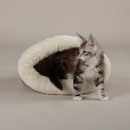 Scruffs® Premium Donut & Cat Bed Collection – Ultra-Soft, Supportive & Stylish