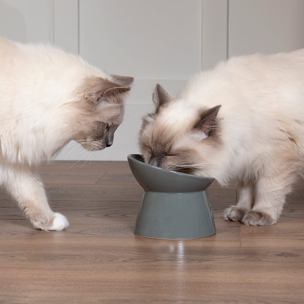 Scruffs® Bowls & Accessories Collection – Stylish & Practical for Every Pet 🐾
