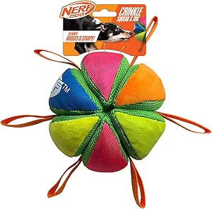 Nerf Dog Ultimate Fetch & Tug Toys