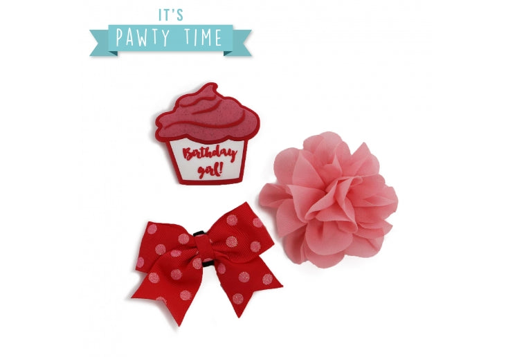 Birthday Range For Dogs - Durable And Fun