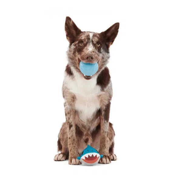 BARK Super Chewer & Treat Dispensing Dog Toys-zoom-
