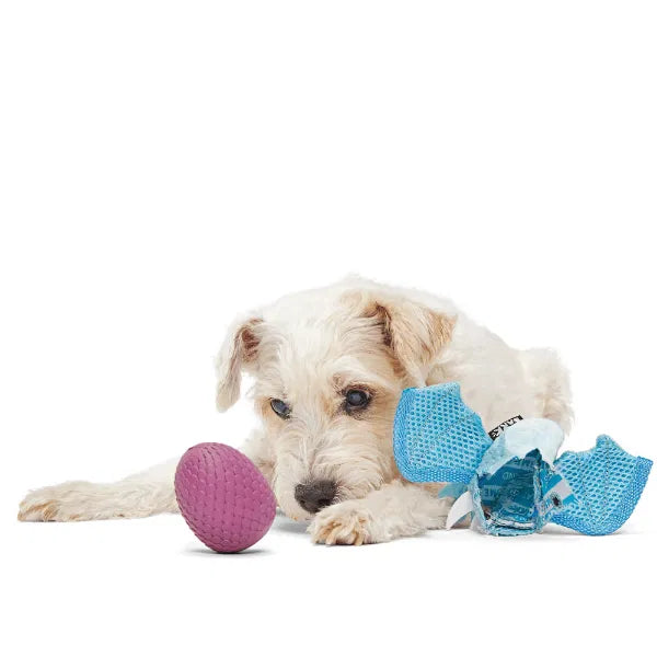 BARK Super Chewer & Treat Dispensing Dog Toys-zoom-