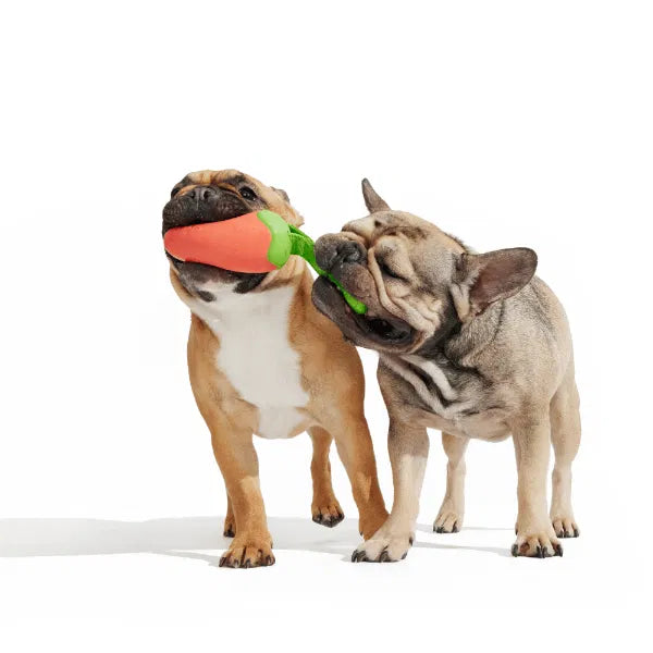 BARK Super Chewer & Treat Dispensing Dog Toys-zoom-3