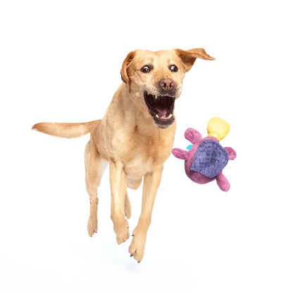 BARK Squeak, Tug & 2 in 1 Dog Toys