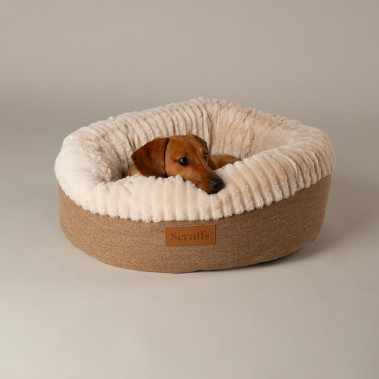 Scruffs® Premium Donut & Cat Bed Collection – Ultra-Soft, Supportive & Stylish
