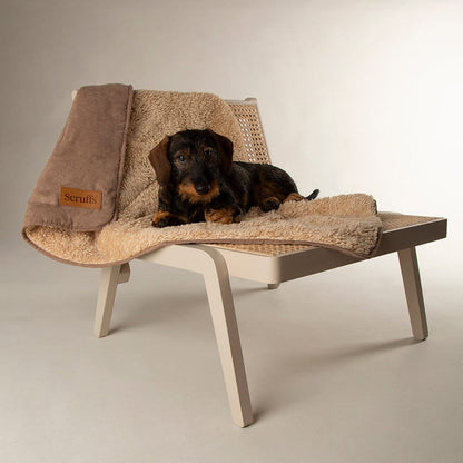 Scruffs Blanket Collection – Premium Cozy Blankets For Your Furry Friend