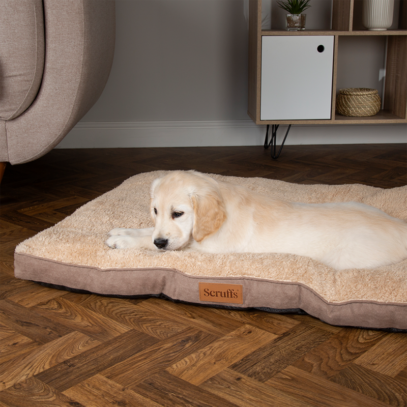 Scruffs Premium Luxury Bedding Collection - Plush Comfort Ultra Soft Cushioned Beds for Dogs & Cats Machine Washable