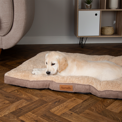 Scruffs Premium Luxury Bedding Collection - Plush Comfort Ultra Soft Cushioned Beds for Dogs & Cats Machine Washable