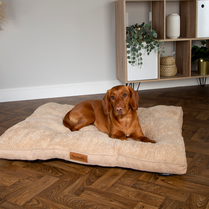 Scruffs Premium Luxury Bedding Collection - Plush Comfort Ultra Soft Cushioned Beds for Dogs & Cats Machine Washable