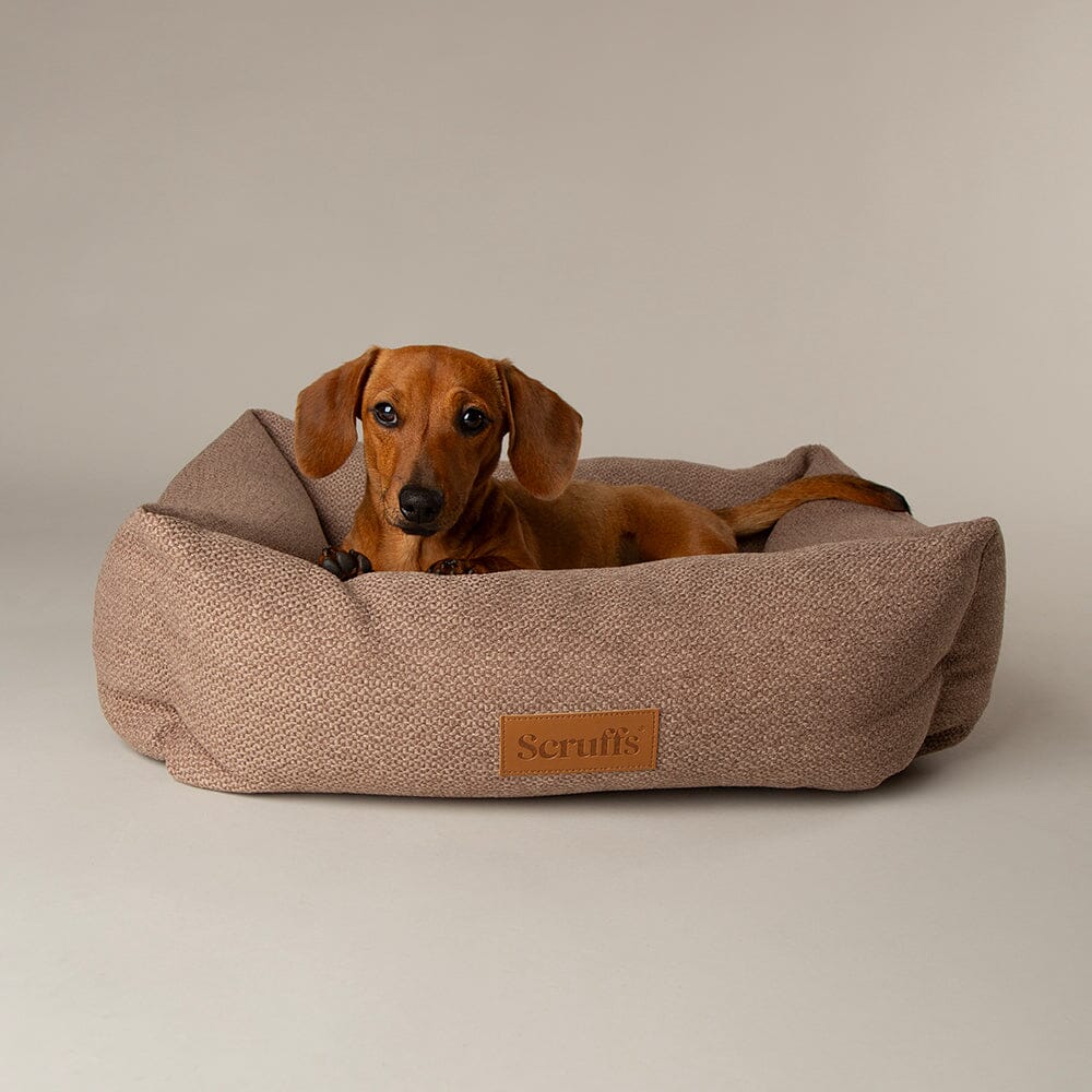 Scruffs Premium Luxury Bedding Collection - Plush Comfort Ultra Soft Cushioned Beds for Dogs & Cats Machine Washable