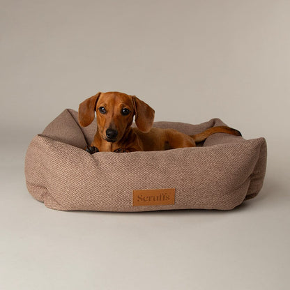 Scruffs Premium Luxury Bedding Collection - Plush Comfort Ultra Soft Cushioned Beds for Dogs & Cats Machine Washable