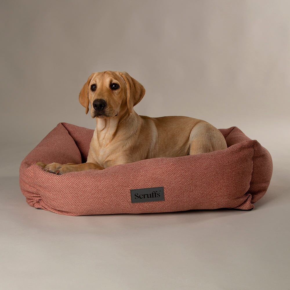 Scruffs Premium Luxury Bedding Collection - Plush Comfort Ultra Soft Cushioned Beds for Dogs & Cats Machine Washable