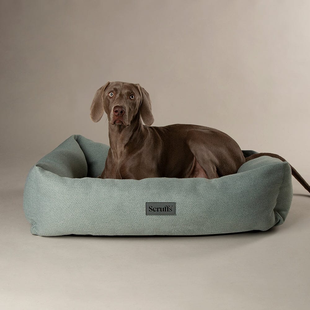 Scruffs Premium Luxury Bedding Collection - Plush Comfort Ultra Soft Cushioned Beds for Dogs & Cats Machine Washable
