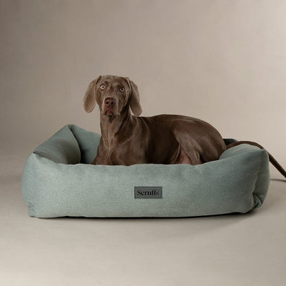 Scruffs Premium Luxury Bedding Collection - Plush Comfort Ultra Soft Cushioned Beds for Dogs & Cats Machine Washable