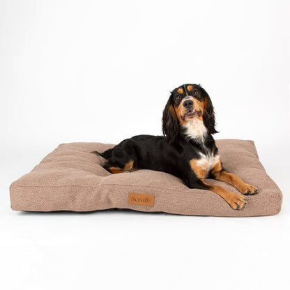 Scruffs Premium Luxury Bedding Collection - Plush Comfort Ultra Soft Cushioned Beds for Dogs & Cats Machine Washable