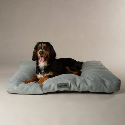 Scruffs Premium Luxury Bedding Collection - Plush Comfort Ultra Soft Cushioned Beds for Dogs & Cats Machine Washable