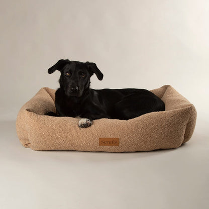 Scruffs Premium Luxury Bedding Collection - Plush Comfort Ultra Soft Cushioned Beds for Dogs & Cats Machine Washable