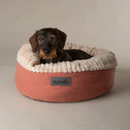 Scruffs® Premium Donut & Cat Bed Collection – Ultra-Soft, Supportive & Stylish