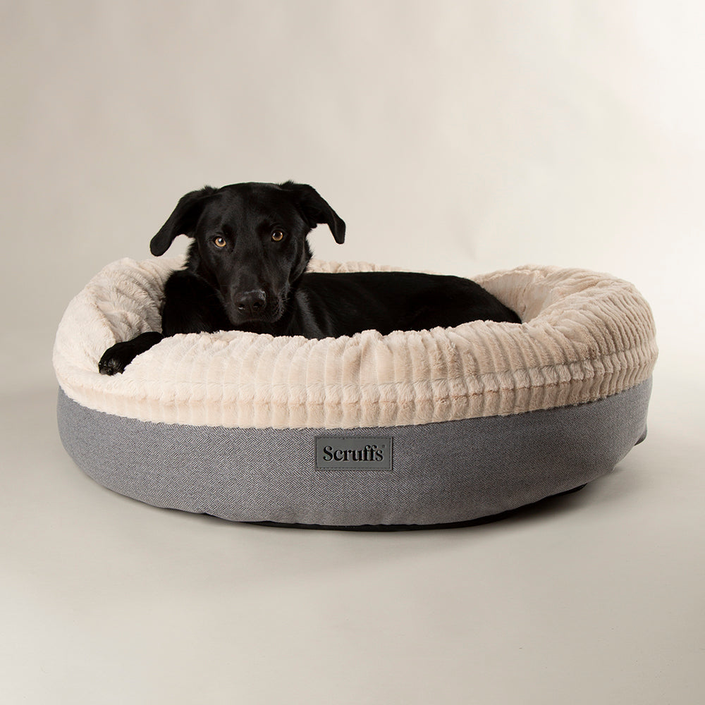 Scruffs® Premium Donut & Cat Bed Collection – Ultra-Soft, Supportive & Stylish