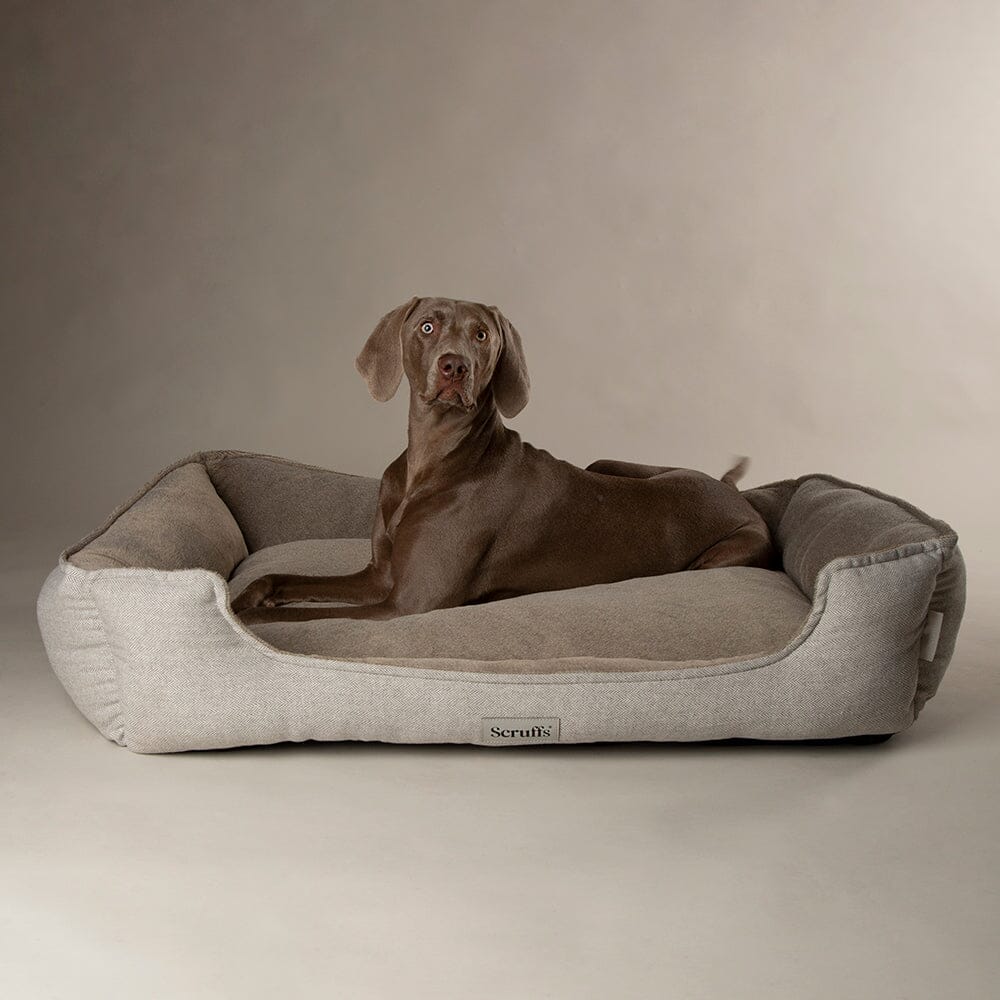 Scruffs Premium Luxury Bedding Collection - Plush Comfort Ultra Soft Cushioned Beds for Dogs & Cats Machine Washable