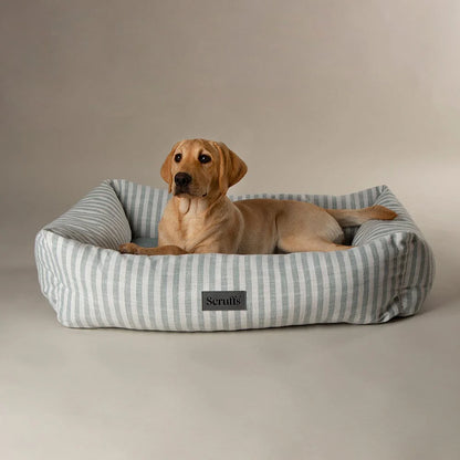 Scruffs Premium Luxury Bedding Collection - Plush Comfort Ultra Soft Cushioned Beds for Dogs & Cats Machine Washable