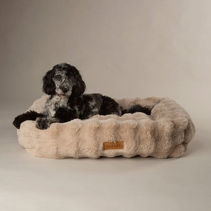 Scruffs Premium Luxury Bedding Collection - Plush Comfort Ultra Soft Cushioned Beds for Dogs & Cats Machine Washable