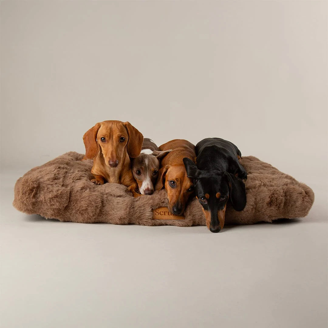 Scruffs Premium Luxury Bedding Collection - Plush Comfort Ultra Soft Cushioned Beds for Dogs & Cats Machine Washable-zoom-73