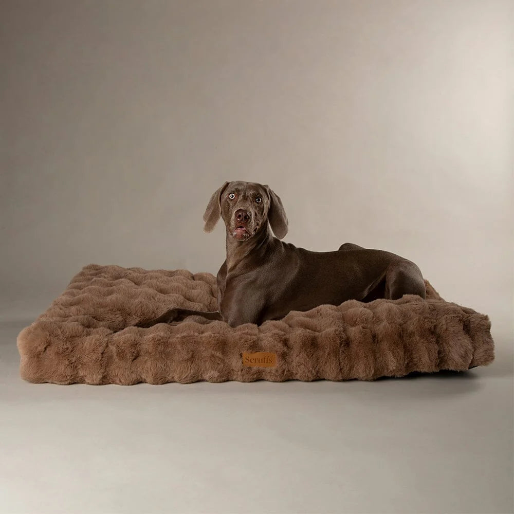 Scruffs Premium Luxury Bedding Collection - Plush Comfort Ultra Soft Cushioned Beds for Dogs & Cats Machine Washable