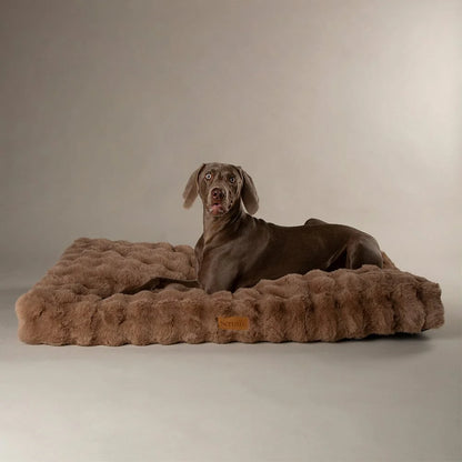 Scruffs Premium Luxury Bedding Collection - Plush Comfort Ultra Soft Cushioned Beds for Dogs & Cats Machine Washable