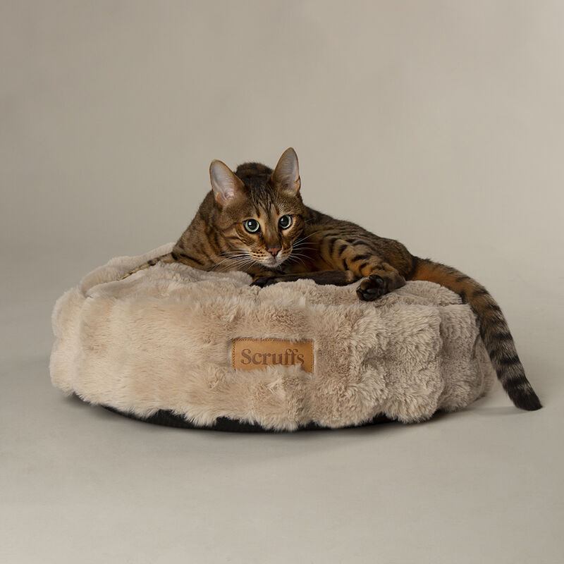 Scruffs Premium Luxury Bedding Collection - Plush Comfort Ultra Soft Cushioned Beds for Dogs & Cats Machine Washable