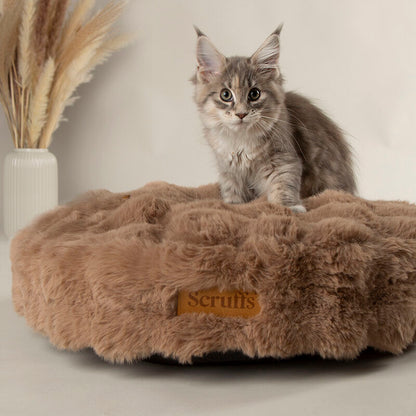 Scruffs Premium Luxury Bedding Collection - Plush Comfort Ultra Soft Cushioned Beds for Dogs & Cats Machine Washable