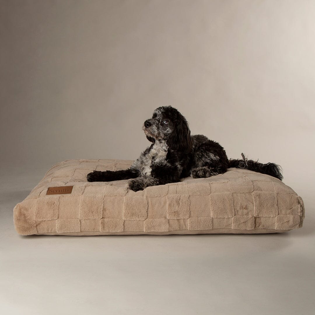 Scruffs Premium Luxury Bedding Collection - Plush Comfort Ultra Soft Cushioned Beds for Dogs & Cats Machine Washable-zoom-38