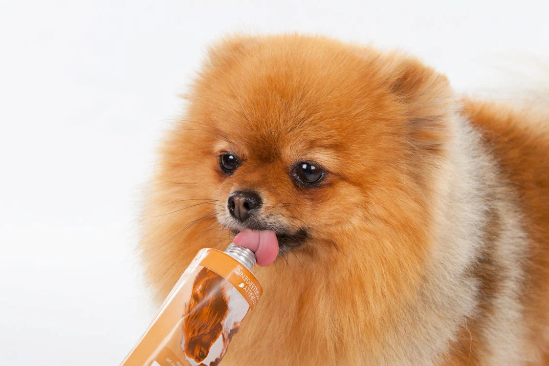 Arden Grange Paste for Dogs and Cats - Grain-Free Training Treat-zoom-2